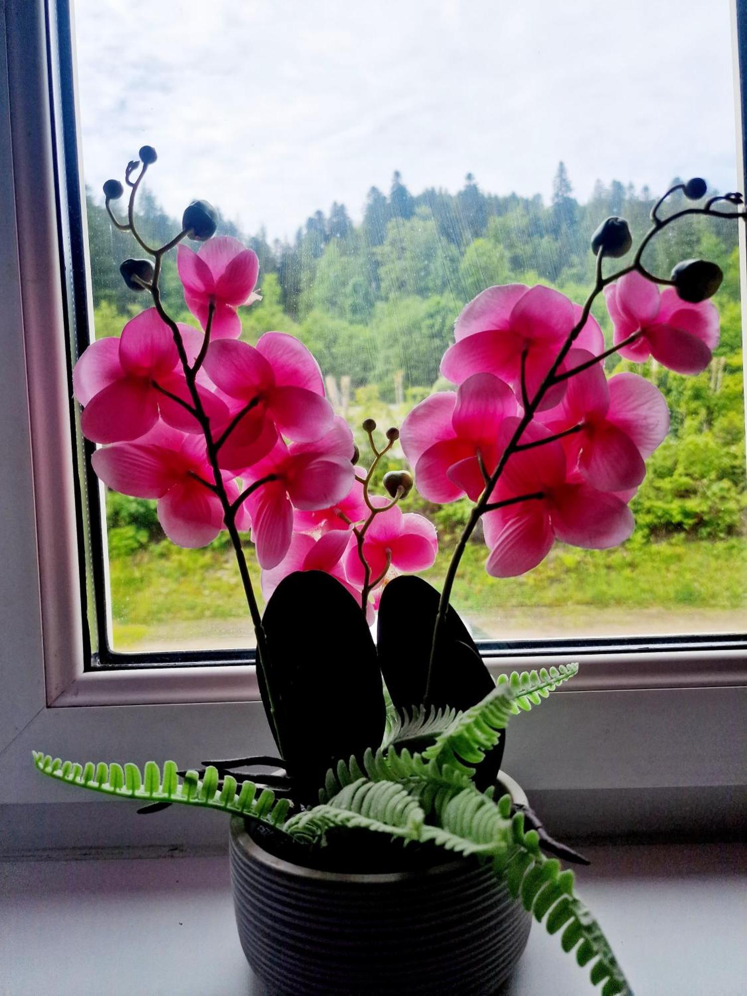 Holiday Apartment Near Triberg Waterfall Triberg im Schwarzwald Екстериор снимка